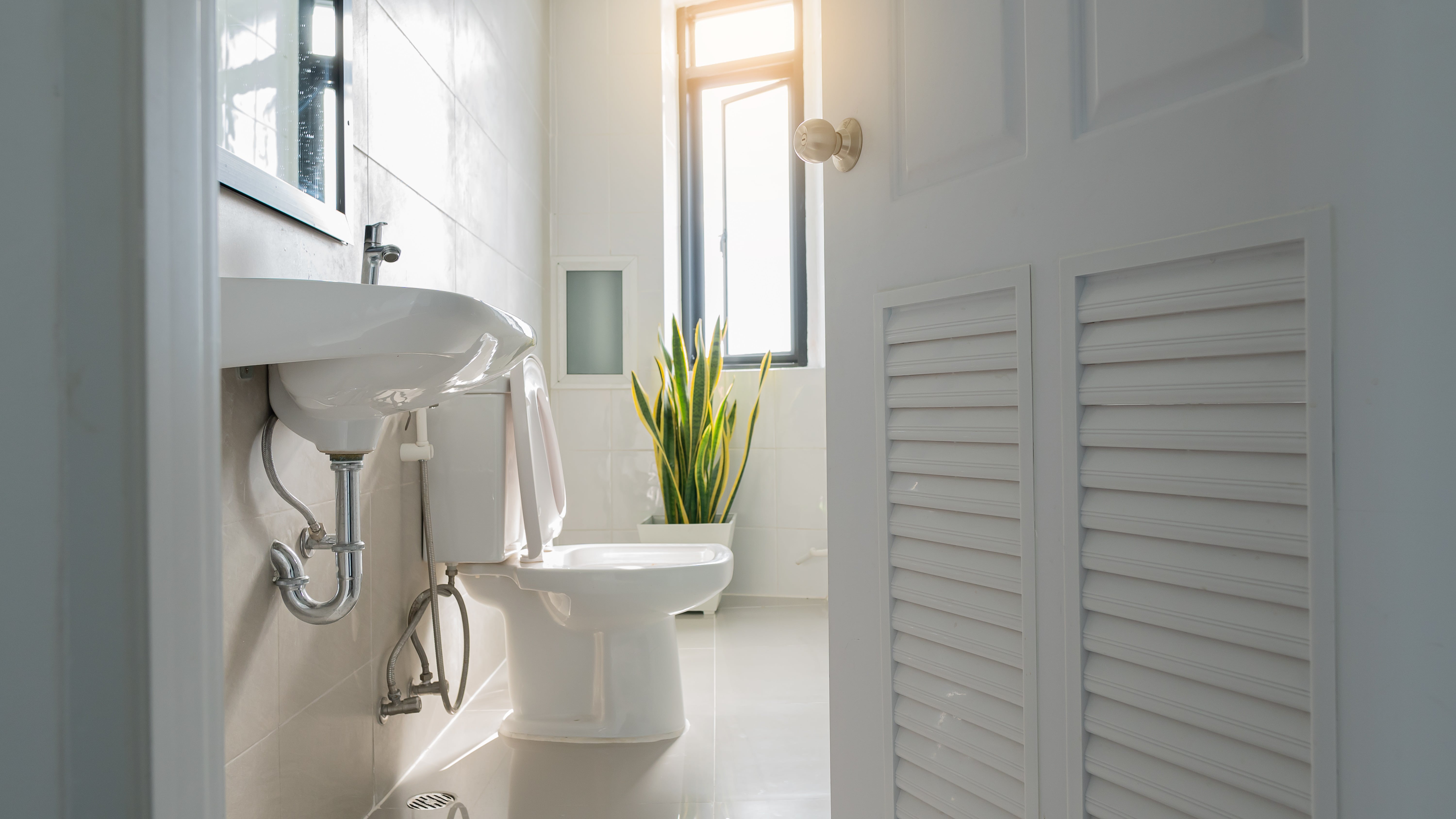 View into the bathroom, concerns for restless anal syndrome