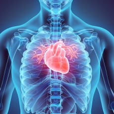 heart valve disease diagram
