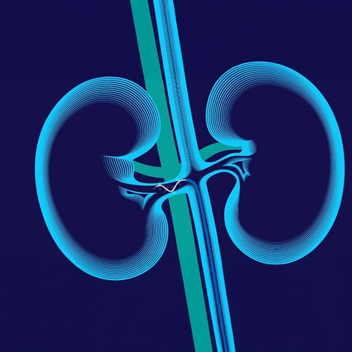 Image of The Symplicity Spyral 
