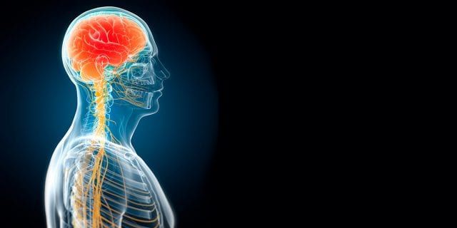Minimally Invasive Spine Surgery